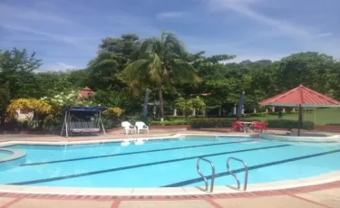 Alquiler de Finca entre palmeras en Tocaima